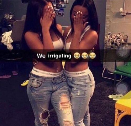 fakehistory:Egyptian farmers in 3100 BC after figuring out how to divert water from the nile river t