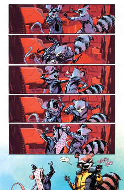 gwenstacyfanclub:   Rocket Raccoon &