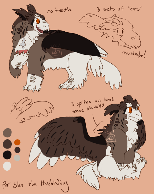 new ref for my hushwing, pai sho (she/her)