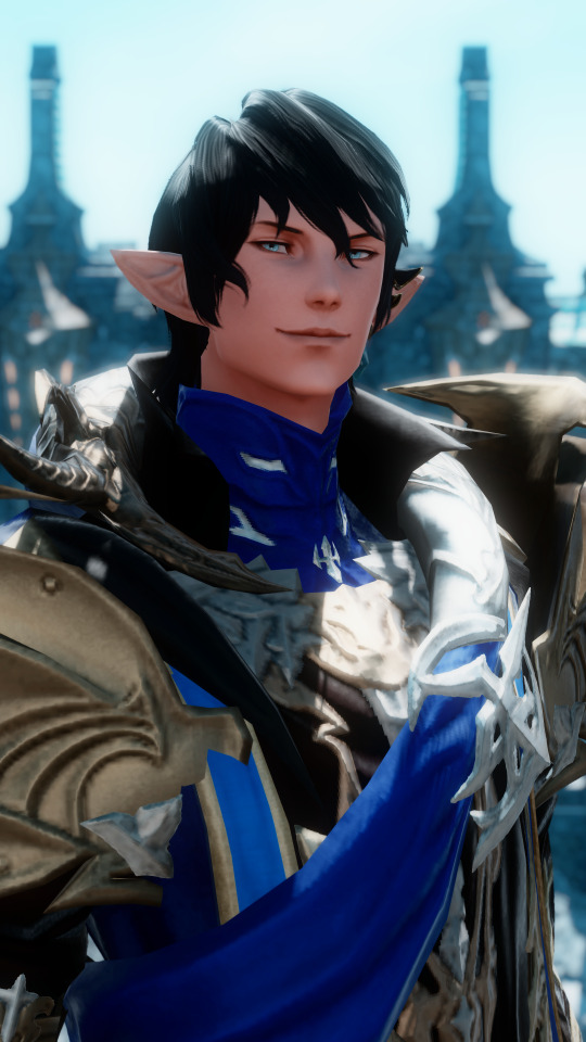 Lord Commander, Ser Aymeric De Borel.