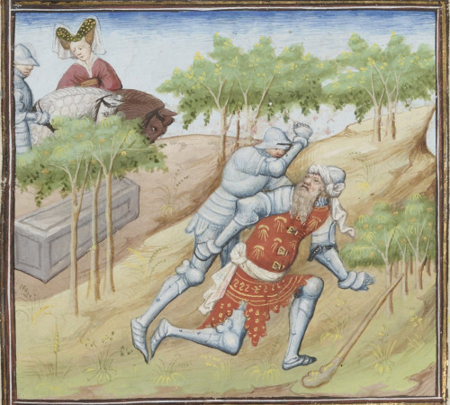 lama-armonica:Longsword fencing, wrestling, sword and shield, mounted fencing and jousting!BNF Franç