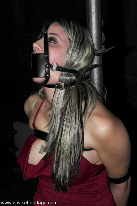 GLOVED AND BOUND