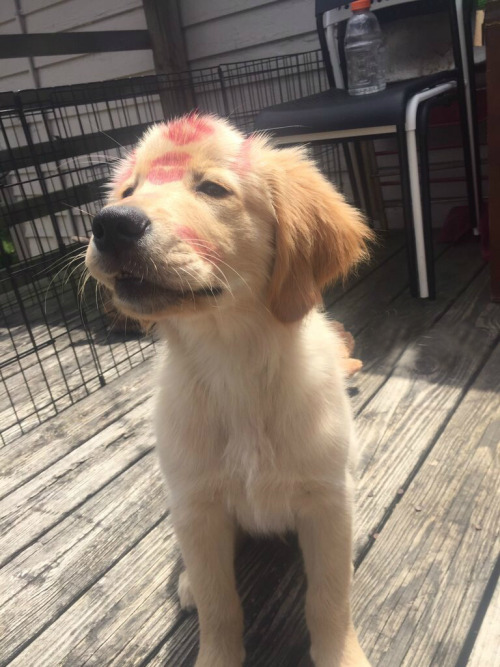 animalrates:via @alexa