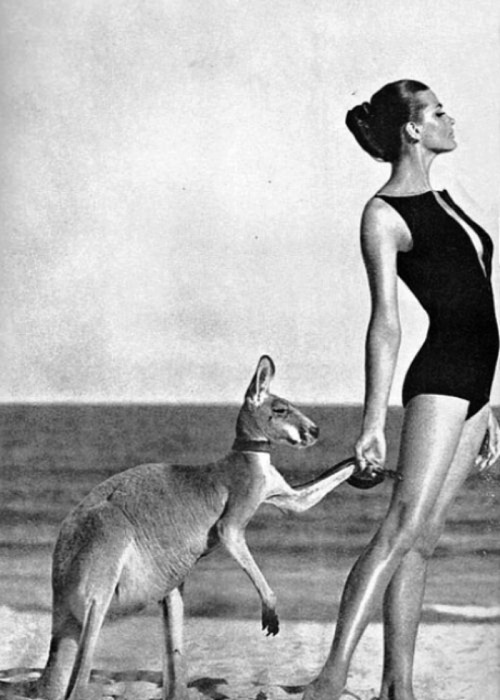 Helmut Newton for Vogue Australia, 1964. adult photos