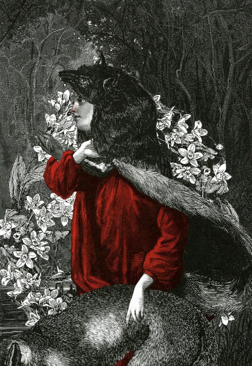 le-plus-beau-des-mensonges:  Angela Carter’s The Bloody Chamber and Other Stories (Spanis