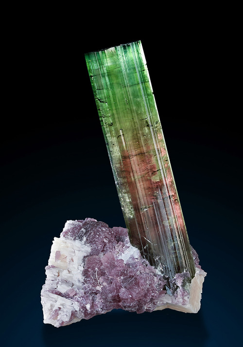 Tourmaline on Lepidolite and Feldspar - Chia Mine, Minas Gerais, Brazil