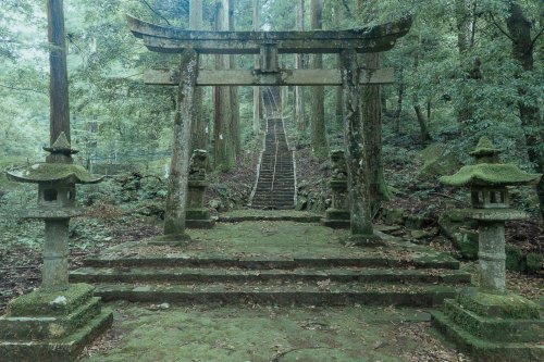 thekimonogallery:Mossy shrine in Gifu, Japan. Photography by みわ miwa@odekakephoto7