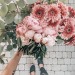 fleur-aesthetic:instagram | alabasterfox adult photos