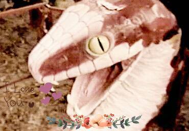softclassicwho:  snake people or sneople