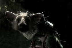 cronopio:  E3 2014: The Last Guardian is officially canceled