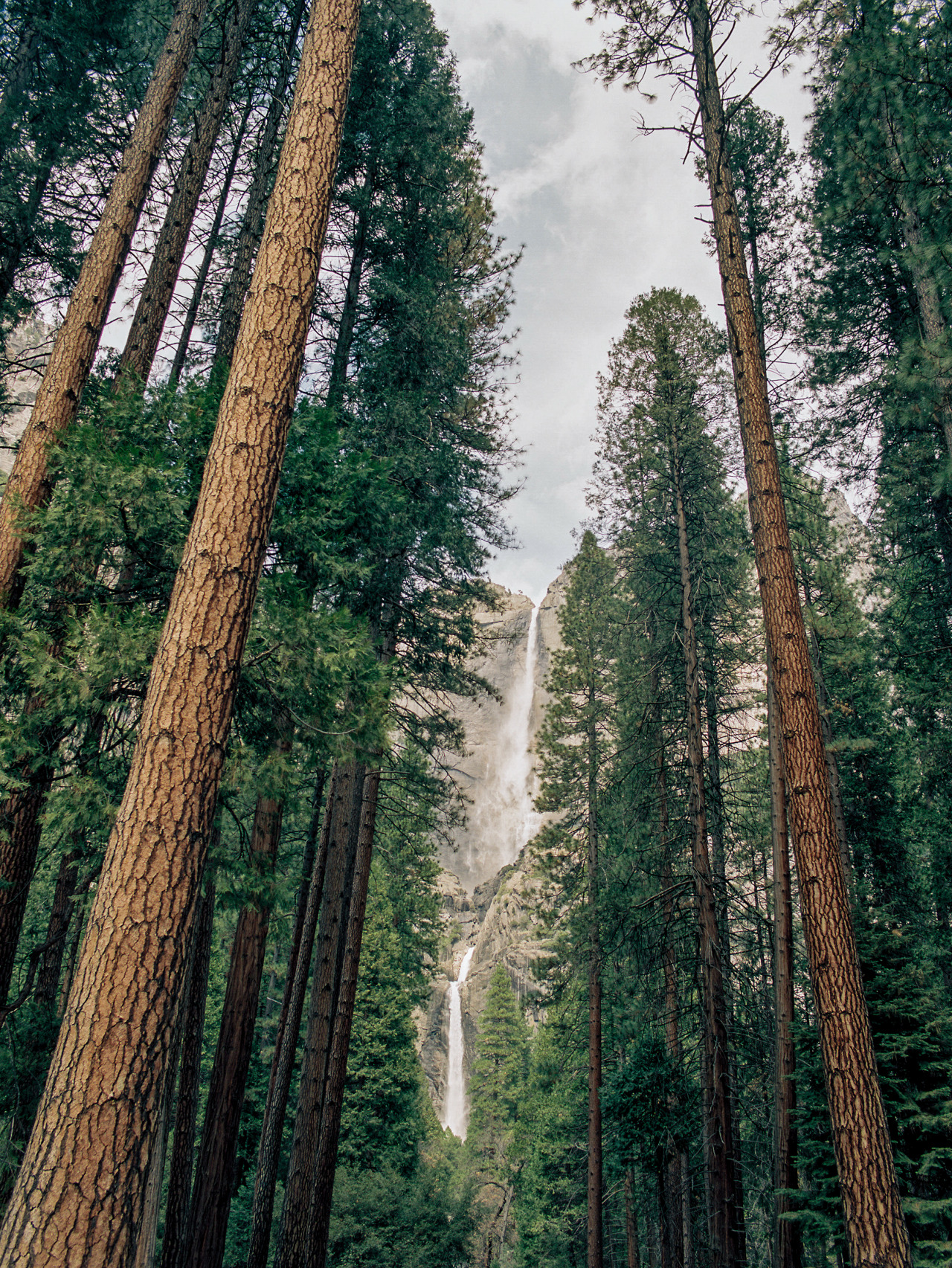 taylormccutchan:  Yosemite Falls in Yosemite National Park Pentax 645, 45mm, Portra