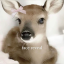 cutiezstuff