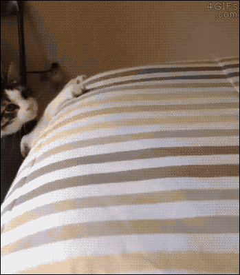 giflounge:  “Failed today too. I’ll try tomorrow.”