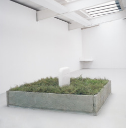 mitjaissick:  Robert Gober Partially Buried Sink,1986-87  cast iron, paint, concrete and grass, 200 x 200 x 35 cm  yeah, partially alive…
