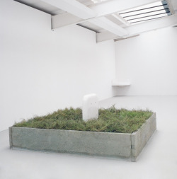 mitjaissick:  Robert Gober Partially Buried