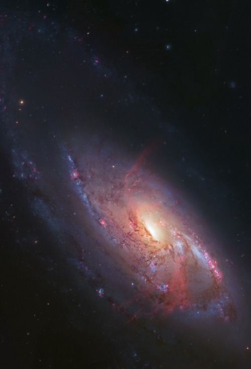 thedemon-hauntedworld: The Arms of M106 The spiral arms of bright galaxy M106 sprawl through this re