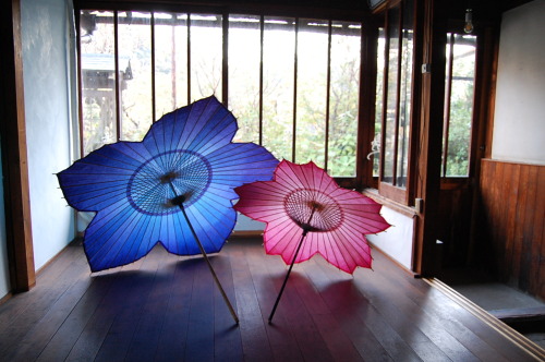 使い捨て大国ニッポンに伝統の危機！和傘の花は再び開くのか？japanese umbrella