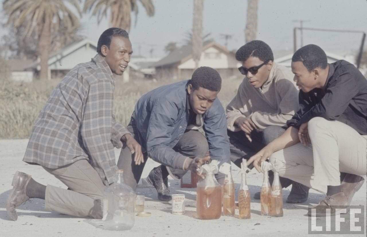 suicidewatch:  Los Angeles, 1966