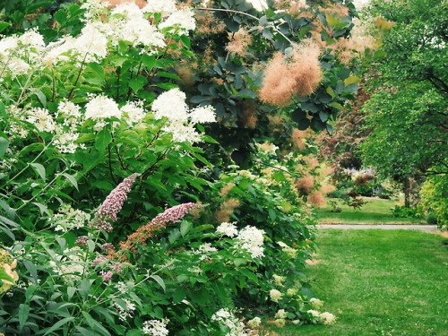 lavenderlaces: Montreal botanical gardens