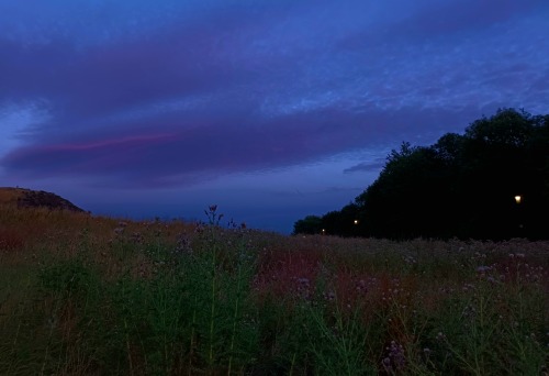 Last Colours Of The Day
