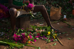 oxfamgb:    ‘A ray of light shines through the leaves of the mango-tree, it is time to start composing the flowers bouquets.’   For these boys in Central African Republic, flowers are more than just decoration. Bonheur and his friends make bouquets