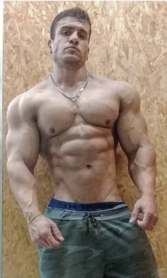 Porn bigmusclebr:This is the true power of testosterone! photos