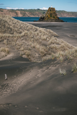 ndunning:  manukau harbour 