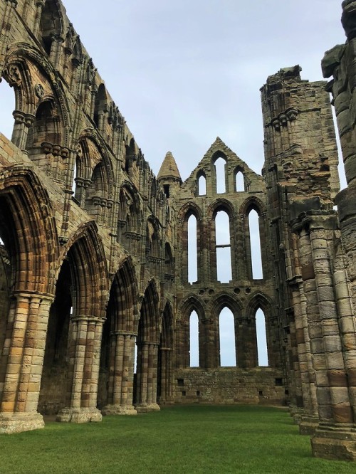 Visiting Whitby Abbey a few weekends ago, worth the famous 200 steps to get there for the wonderful 