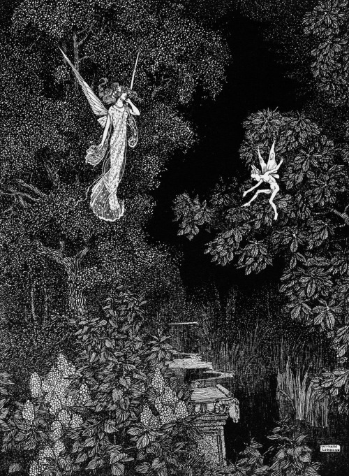 a-little-bit-pre-raphaelite:  A Midsummer Nights Dream  By W Heath Robinson &amp; Arthur Rackham