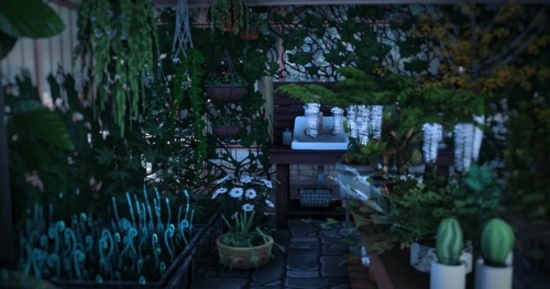 junipasims:So, my occult shop now has a little greenhouse where Sims can buy rare and exotic plans f