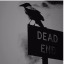 edgesthetic