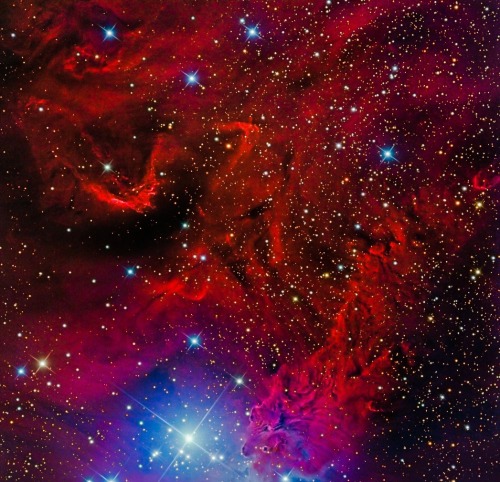 thedemon-hauntedworld:  Environs of S Monocerotis Glowing hydrogen gas fills this gorgeously detailed sky view centered on the variable star S Monocerotis (S Mon) in the faint but fanciful constellation Monoceros, the Unicorn. A star forming region (NGC