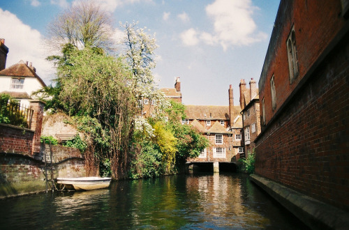 jacindaelena:  Canterbury, England by Nicola Abraham