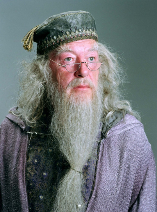 Harry Potter Characters As Dogs