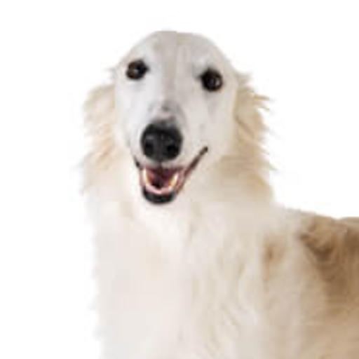 XXX noritaro:martian-borzoi:  Sometimes I think photo