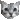a small transparent gif of a cat facing the veiwer and blinking