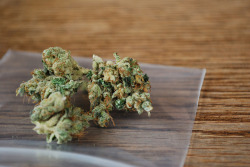 druggedup-lesbian:  Kosher Kush. 