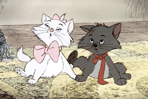 pvscvls:Ladies do not start fights, but they can finish them!  The Aristocats (1970), dir. Wolfgang 