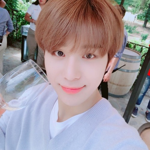 nctinfo: NCTsmtown_127: Chilean wine!!^^  Translation: Esmee @ FY! NCT (NCTINFO) | Source: NCT 