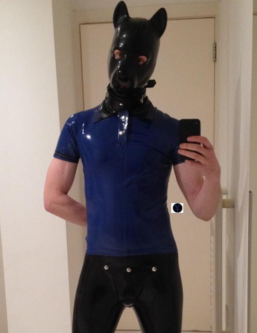 All Rough and Playful, Pups at thair best ;)