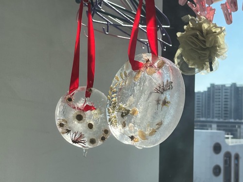 Its Winter Solstice Today! I Made Some Ice Hanging Decorations With Dried Flowers This Morning