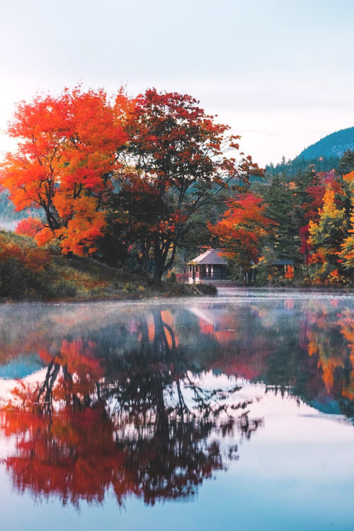 lsleofskye:Sunset in Acadia.| mblockk