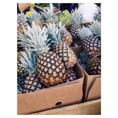 “Pineapples bitch pineapples, PINEAPPLESSSSSS”-Kevin Hart #sydneymarkets with Mummabear and @hangnguyennn #myfave #imobsessedwith🍍 #summer #markets #yay