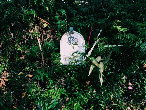 rainoon:  I admire this mailbox so much I don’t know why maybe it’s because it stands in there watch