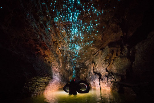 bogleech:bughaze:landscape-photo-graphy:Glowworms Illuminate New Zealand’s CavesPhotographer S
