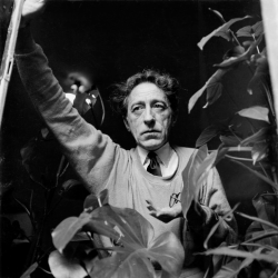 Cocteau