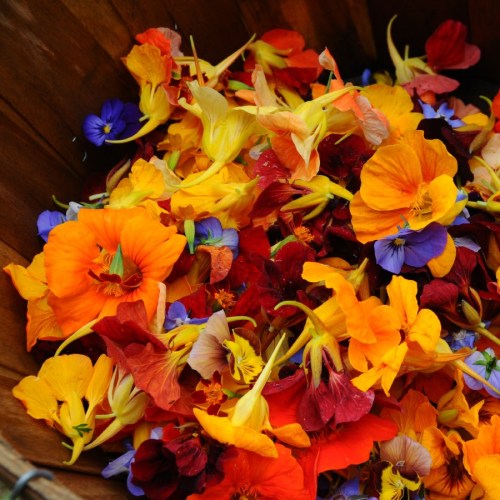 Recette des Fleurs et Feuilles Cristallisées au Sucre : Préparation 10 minutes , Cuisson 10 minutes(