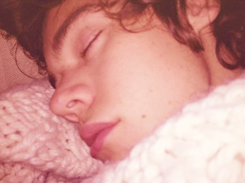 ohtaemins:  Harry Styles + sleeping 