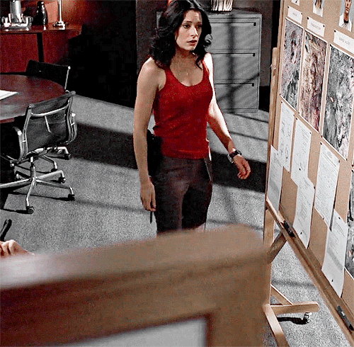 Paget Brewster As Emily Prentiss 