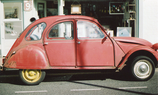 lafleurdesmurailles:  untitled by millie clinton. on Flickr. 